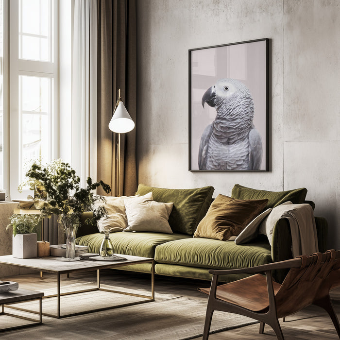 African Grey Framed Art Kathrin Pienaar | Home or Office Art