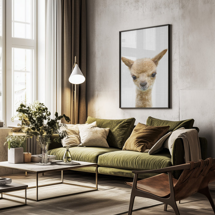 Peekaboo Baby Llama Framed Art Lola Peacock | Home or Office Art