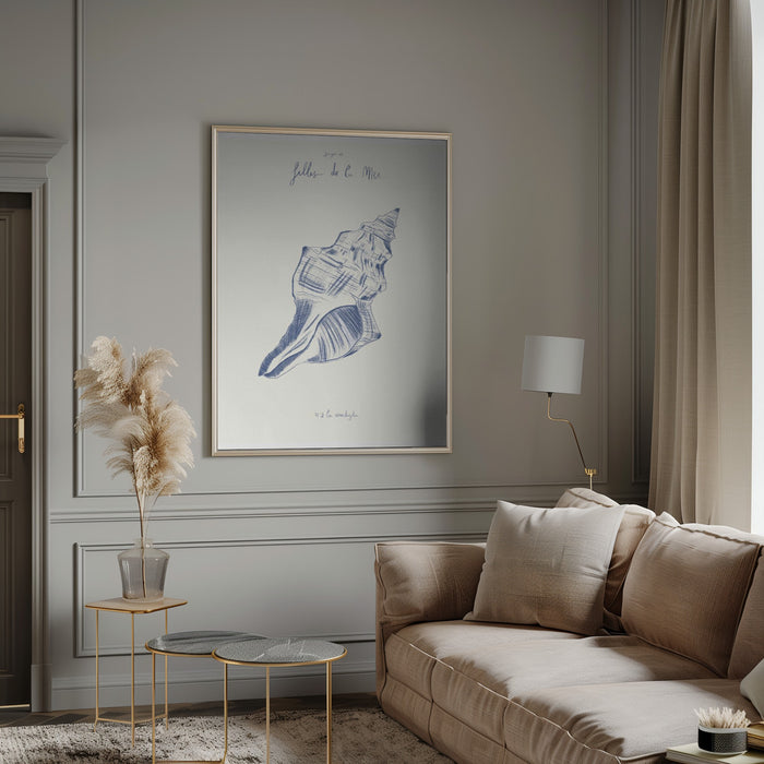 Filles de la mer n.2 - La conchiglia - Giulia Mora Framed Art | Home or Office Art