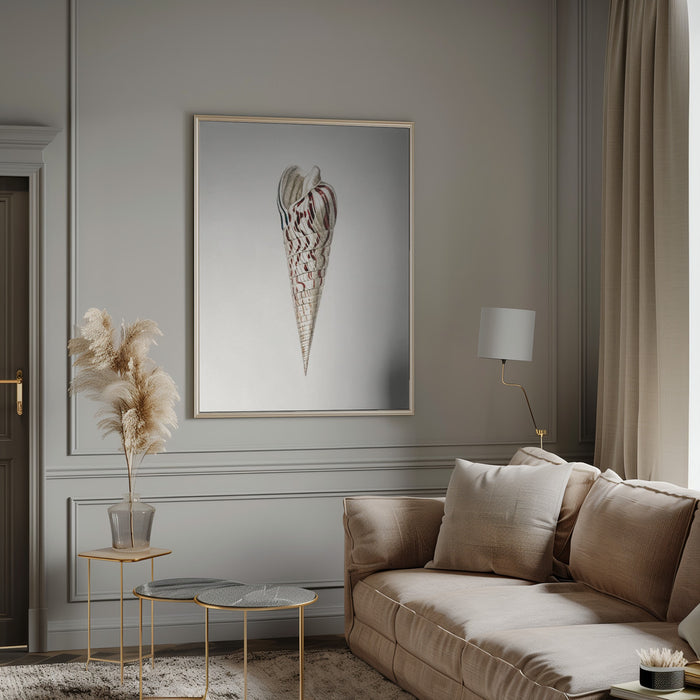  Mollusks Crop III - Charles Dessalines D Orbigny Framed Art | Home or Office Art