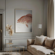 Red Snapper - Sherman F. Denton Framed Art | Home or Office Art