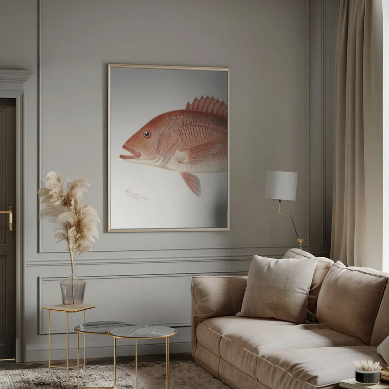 Red Snapper - Sherman F. Denton Framed Art | Home or Office Art