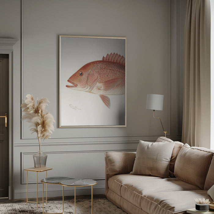 Red Snapper - Sherman F. Denton Framed Art | Home or Office Art