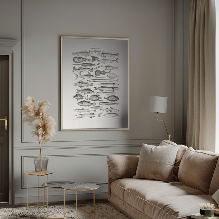 Sealife I - Oliver Goldsmith Framed Art | Home or Office Art