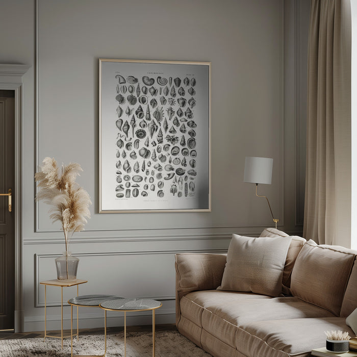 Sealife III - Oliver Goldsmith Framed Art | Home or Office Art