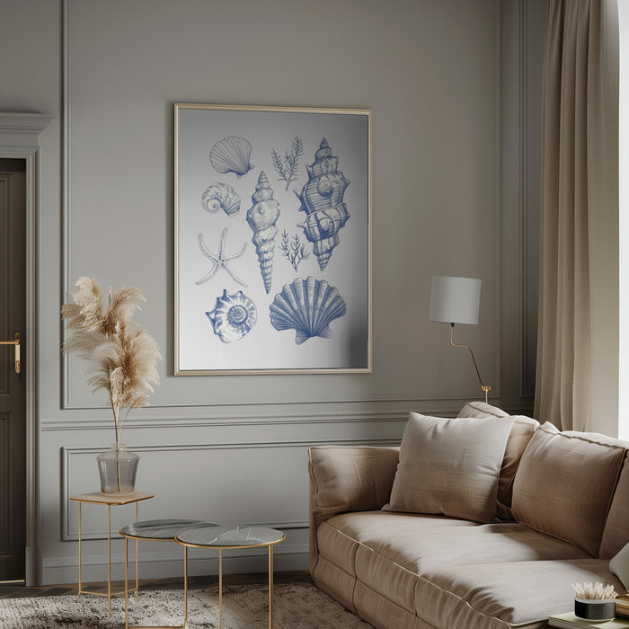 Shell Collage - Jolly and Dash Framed Art | Home or Office Art