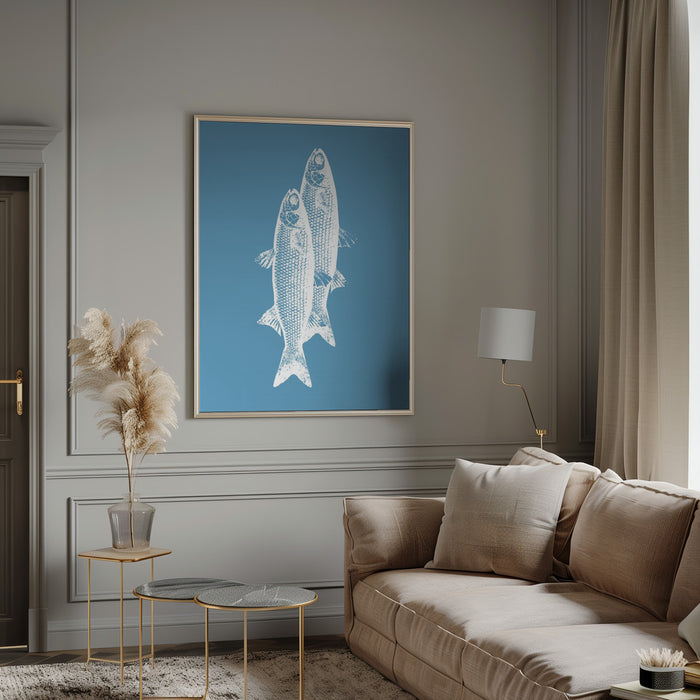 Pescados - Elizabeth C Framed Art | Home or Office Art