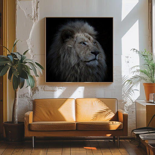 Proud Lion Square Canvas Art  Louise Wolbers 