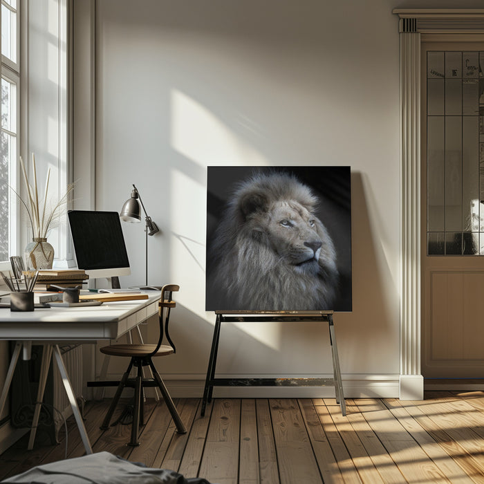 Proud Lion Square Canvas Art  Louise Wolbers 