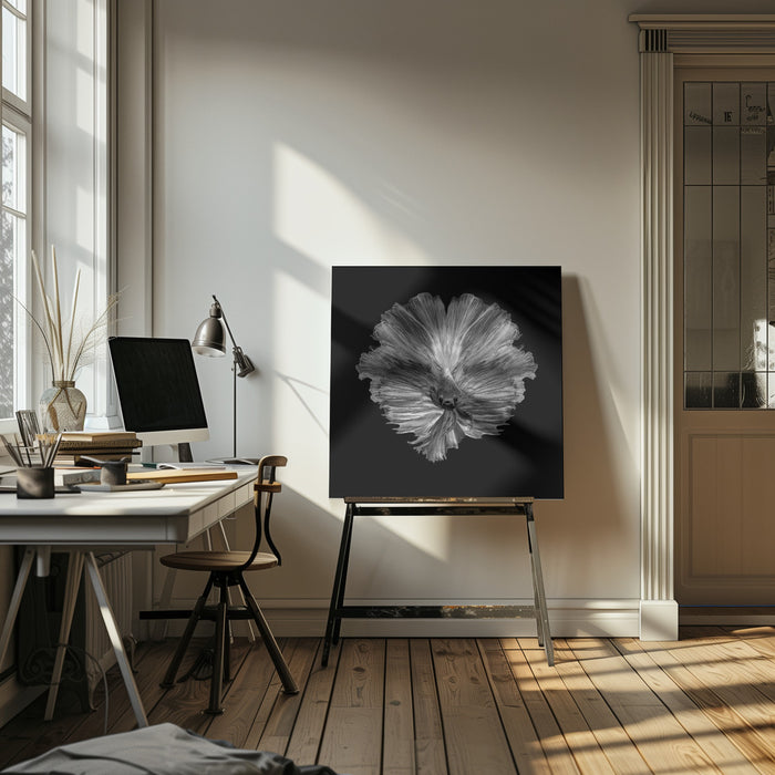 The Flower of tail Square Canvas Art  Andi Halil 