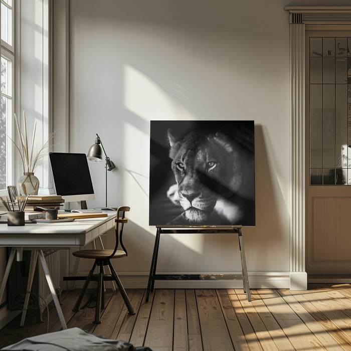The Look Square Canvas Art  Jerry Berry 