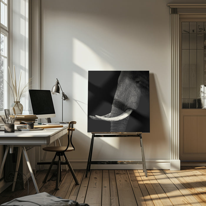 Elephant profile Square Canvas Art  Hannes Bertsch 