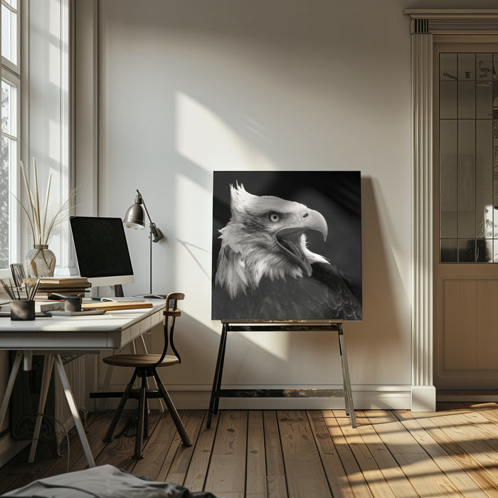 The American Eagle by Vincent Willems Square Canvas Print Art for Modern Home Decor. Decorate your office or living room with canvas artwork