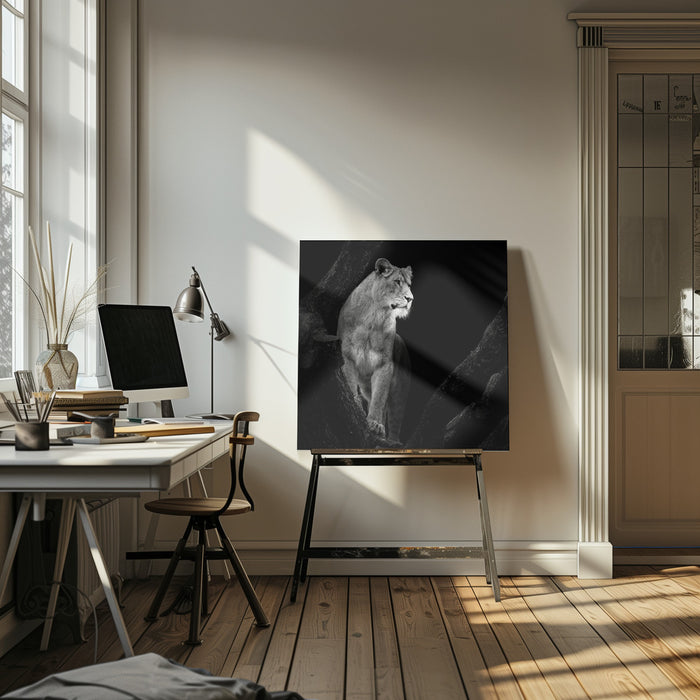 Lioness Square Canvas Art  Christian Meermann 