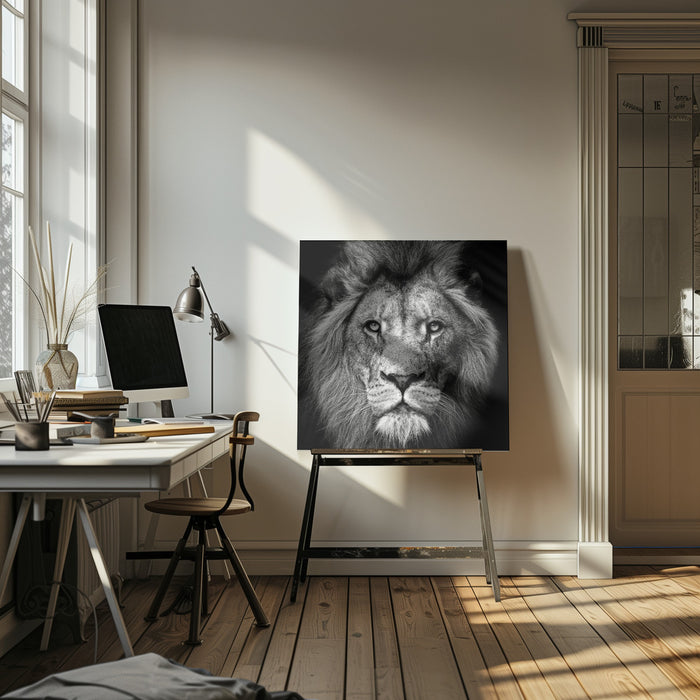 Stare Me Down #3 Square Canvas Art  Christian Meermann 