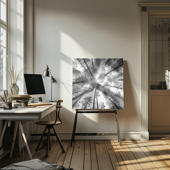 Tree Etching 002 by Rob Darby Square Canvas Print Art for Modern Home Decor. Decorate your office or living room with canvas artwork