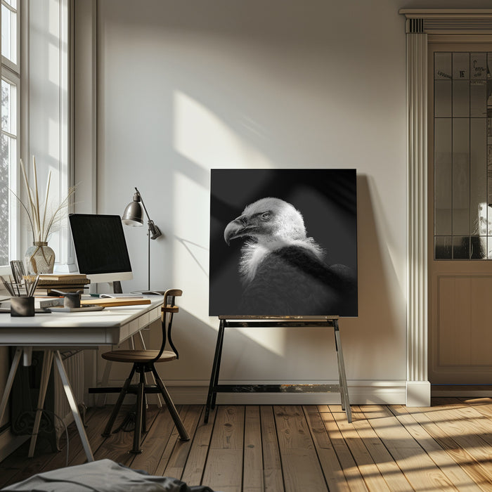 Eurasian Griffon #7 by Christian Meermann Square Canvas Print Art for Modern Home Decor. Decorate your office or living room with canvas artwork