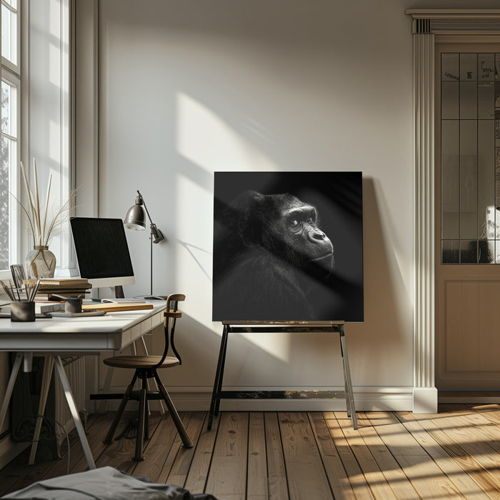 Gorilla by Christian Meermann Square Canvas Print Art for Modern Home Decor. Decorate your office or living room with canvas artwork