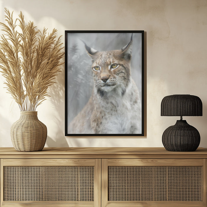 Lynx portrait in the fog Framed Art Santiago Pascual Buye | Home or Office Art