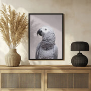 African Grey Framed Art Kathrin Pienaar | Home or Office Art