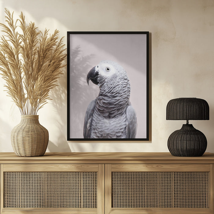 African Grey Framed Art Kathrin Pienaar | Home or Office Art