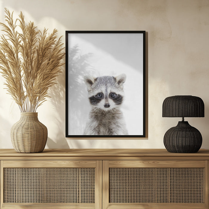 Baby Racoon Framed Art Kathrin Pienaar | Home or Office Art