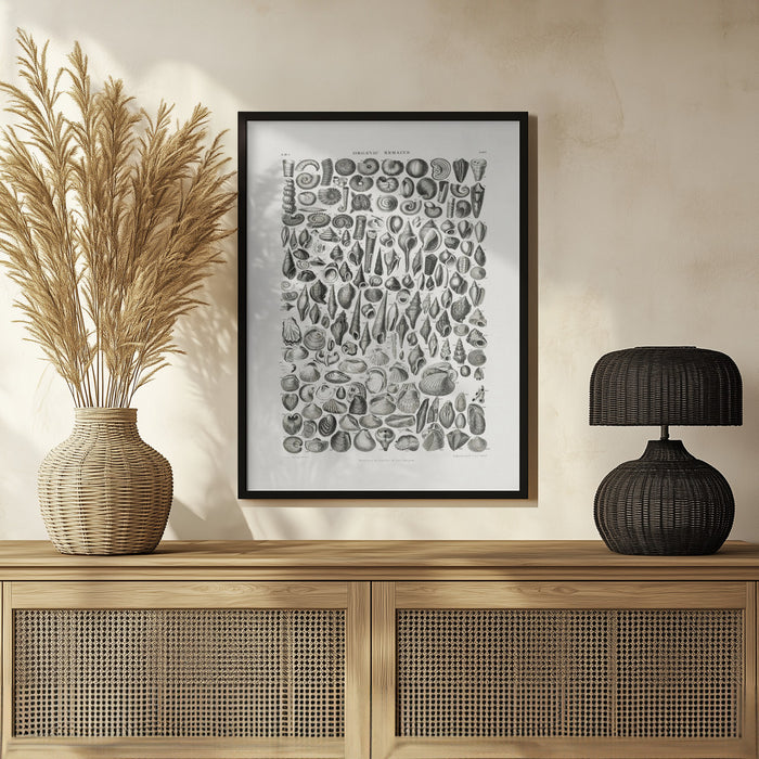 Sealife II - Pictufy Framed Art | Home or Office Art