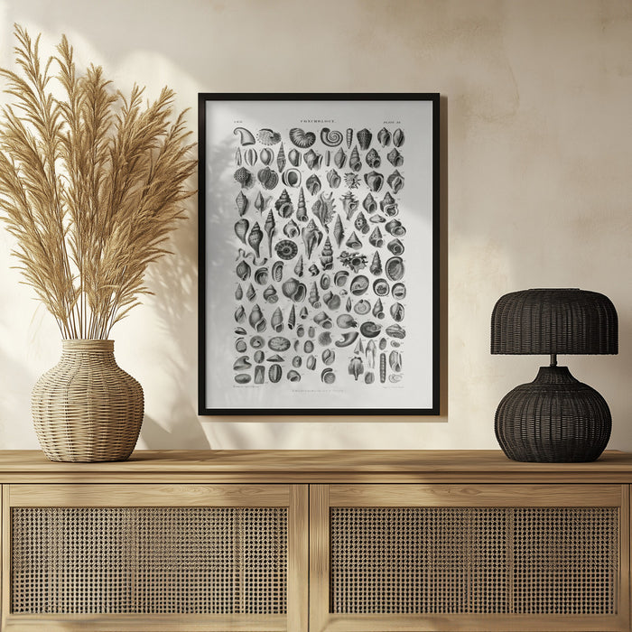 Sealife III - Oliver Goldsmith Framed Art | Home or Office Art