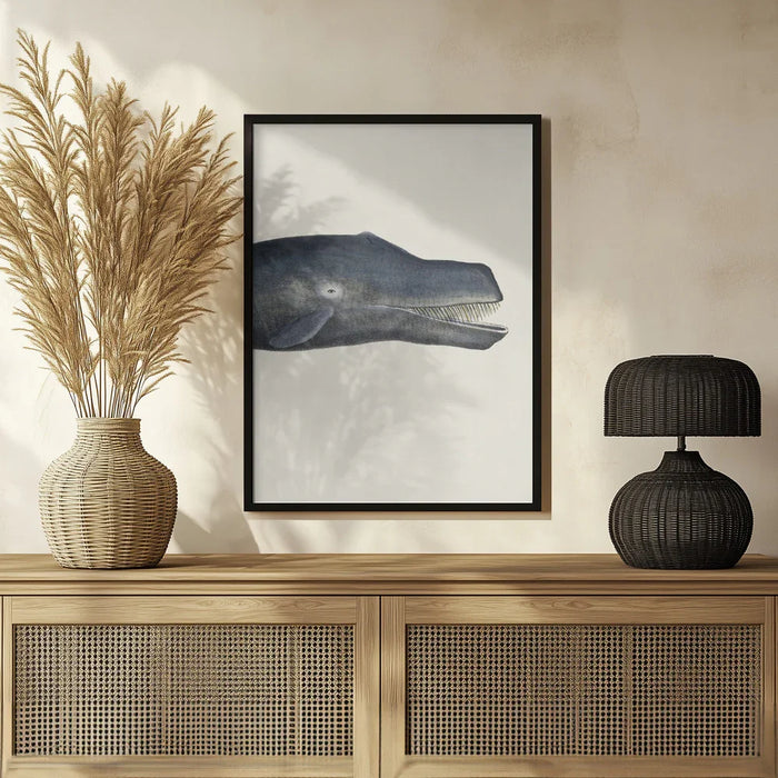 Whale I Tight Crop   Handcolored Sealife Lithograph 1824 - Vintage Poster Framed Art | Home or Office Art