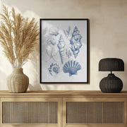 Shell Collage - Jolly and Dash Framed Art | Home or Office Art