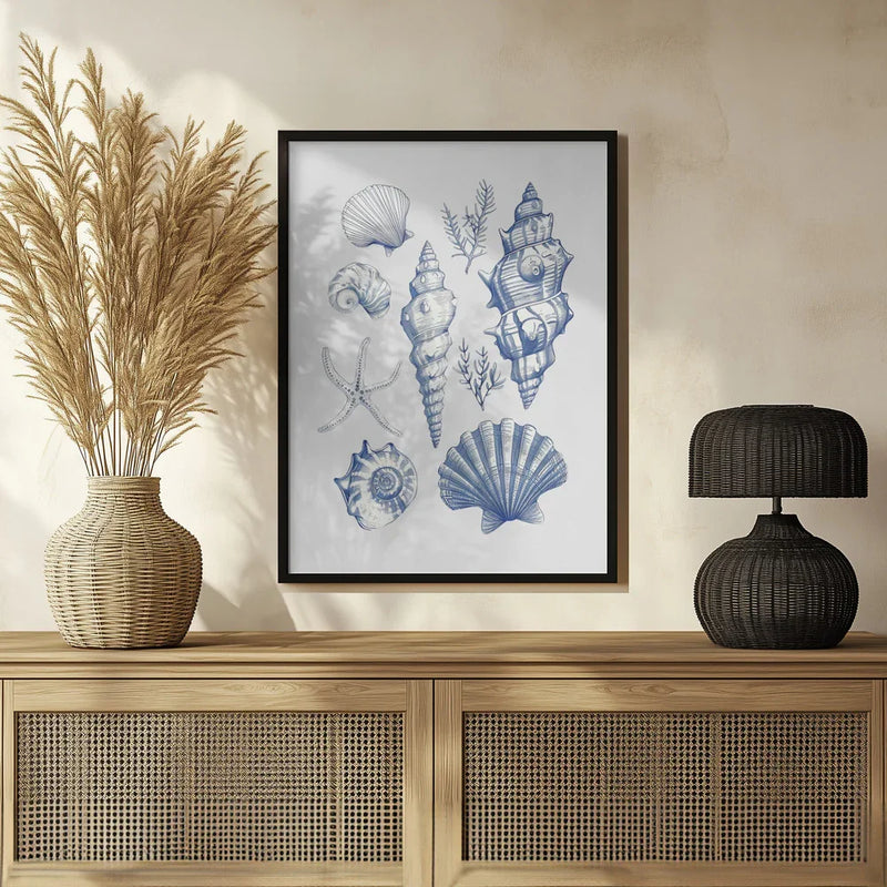 Shell Collage - Jolly and Dash Framed Art | Home or Office Art