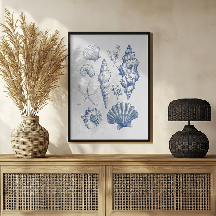 Shell Collage - Jolly and Dash Framed Art | Home or Office Art