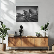 In Silhouette - Tim Fan Framed Art | Home or Office Art