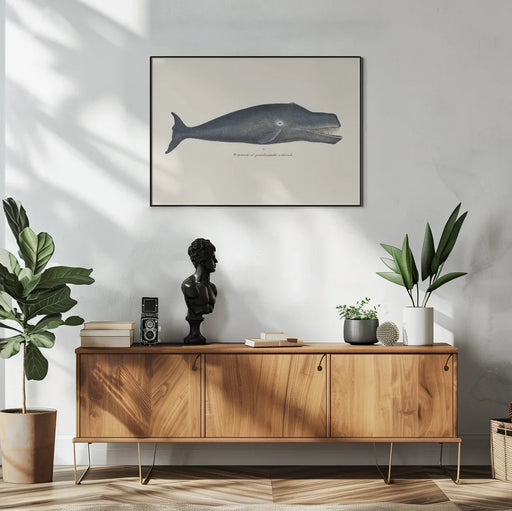 Whale I Antique Handcolored Sealife Lithograph 1824 - Vintage Poster Framed Art | Home or Office Art
