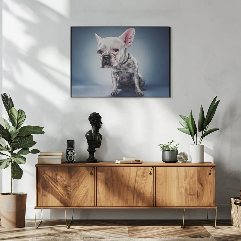 Big Head Project Framed Art Moshe Nachumovich | Home or Office Art