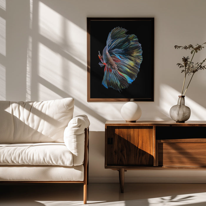The  Betta Fish Framed Art Andi Halil | Home or Office Art