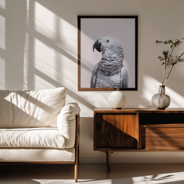African Grey Framed Art Kathrin Pienaar | Home or Office Art