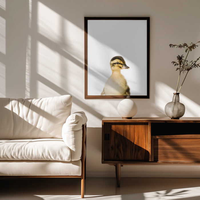 Baby Duck Framed Art Kathrin Pienaar | Home or Office Art