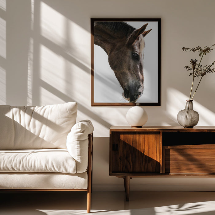 Kalimazoo Framed Art Shot by Clint | Home or Office Art