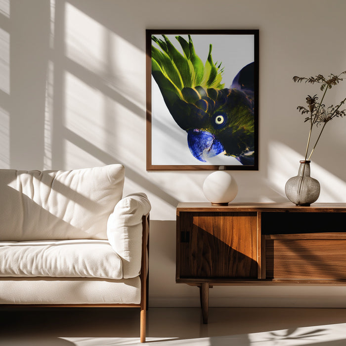 Punk Rocker Framed Art Shot by Clint | Home or Office Art