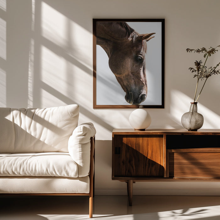 Russian Framed Art Shot by Clint | Home or Office Art