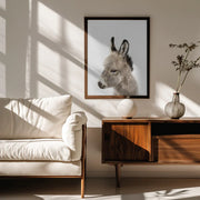 Peekaboo Baby Donkey Framed Art Lola Peacock | Home or Office Art