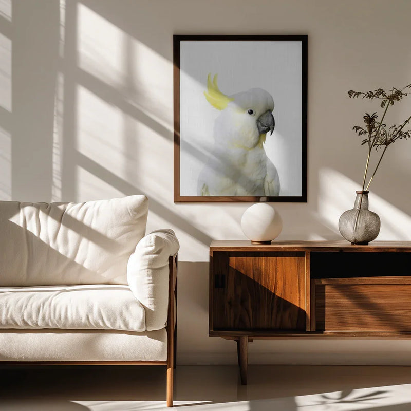 Peekaboo Cockatoo Framed Art Lola Peacock | Home or Office Art