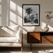 Vintage Palm Tree Drawing V - Les Palmiers Histoire Iconographique Framed Art | Home or Office Art