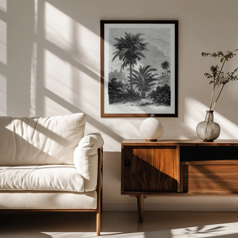Vintage Palm Tree Drawing V - Les Palmiers Histoire Iconographique Framed Art | Home or Office Art