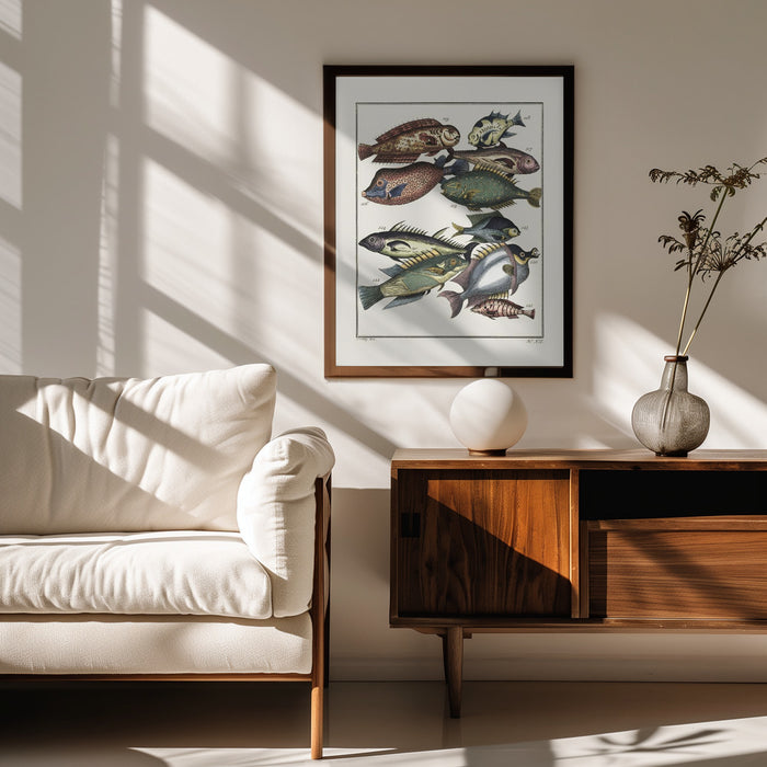 Exotic Fish (1767) By J V Schley - Pictufy Framed Art | Home or Office Art