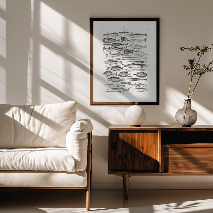 Sealife I - Oliver Goldsmith Framed Art | Home or Office Art