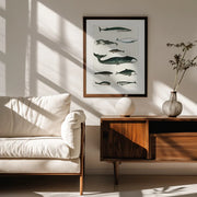 Vintage Whale Poster - Oliver Goldsmith Framed Art | Home or Office Art