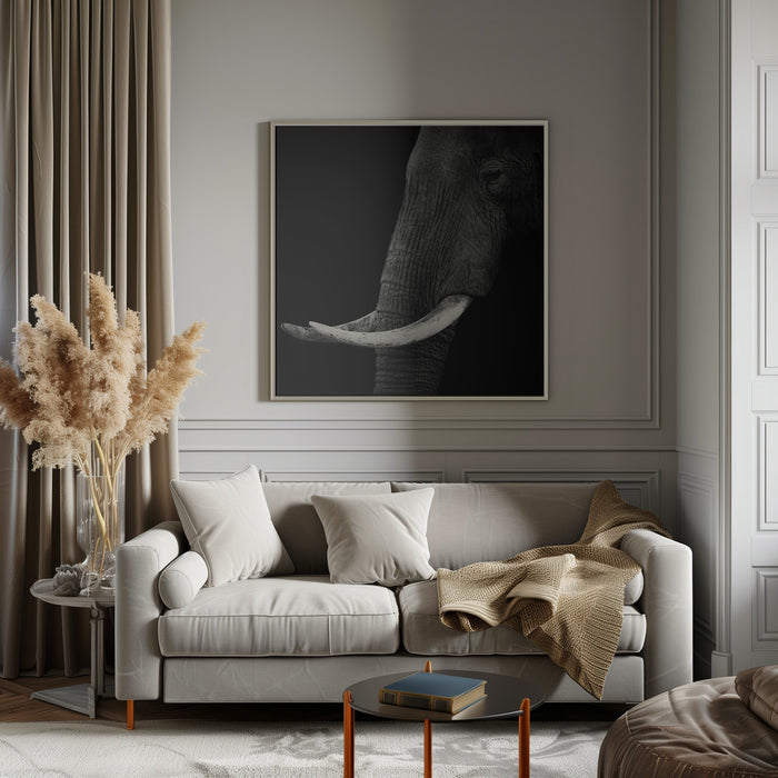 Elephant profile Square Canvas Art  Hannes Bertsch 