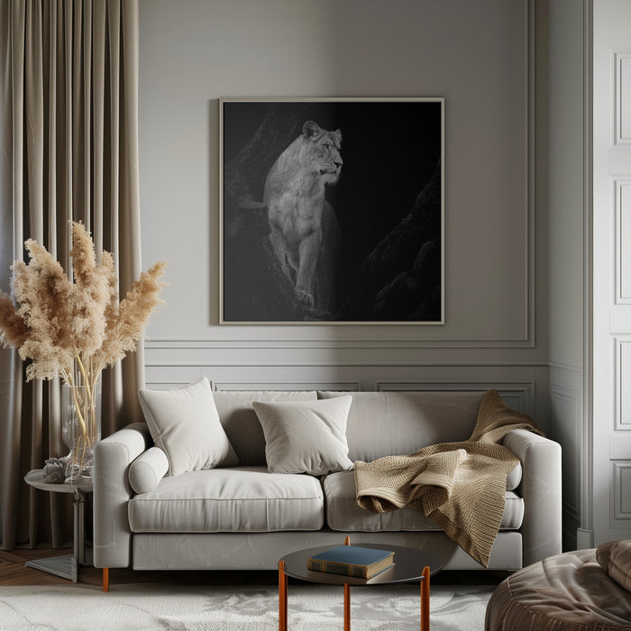 Lioness Square Canvas Art  Christian Meermann 